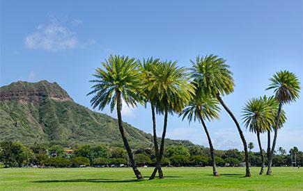 Kapiolani Park